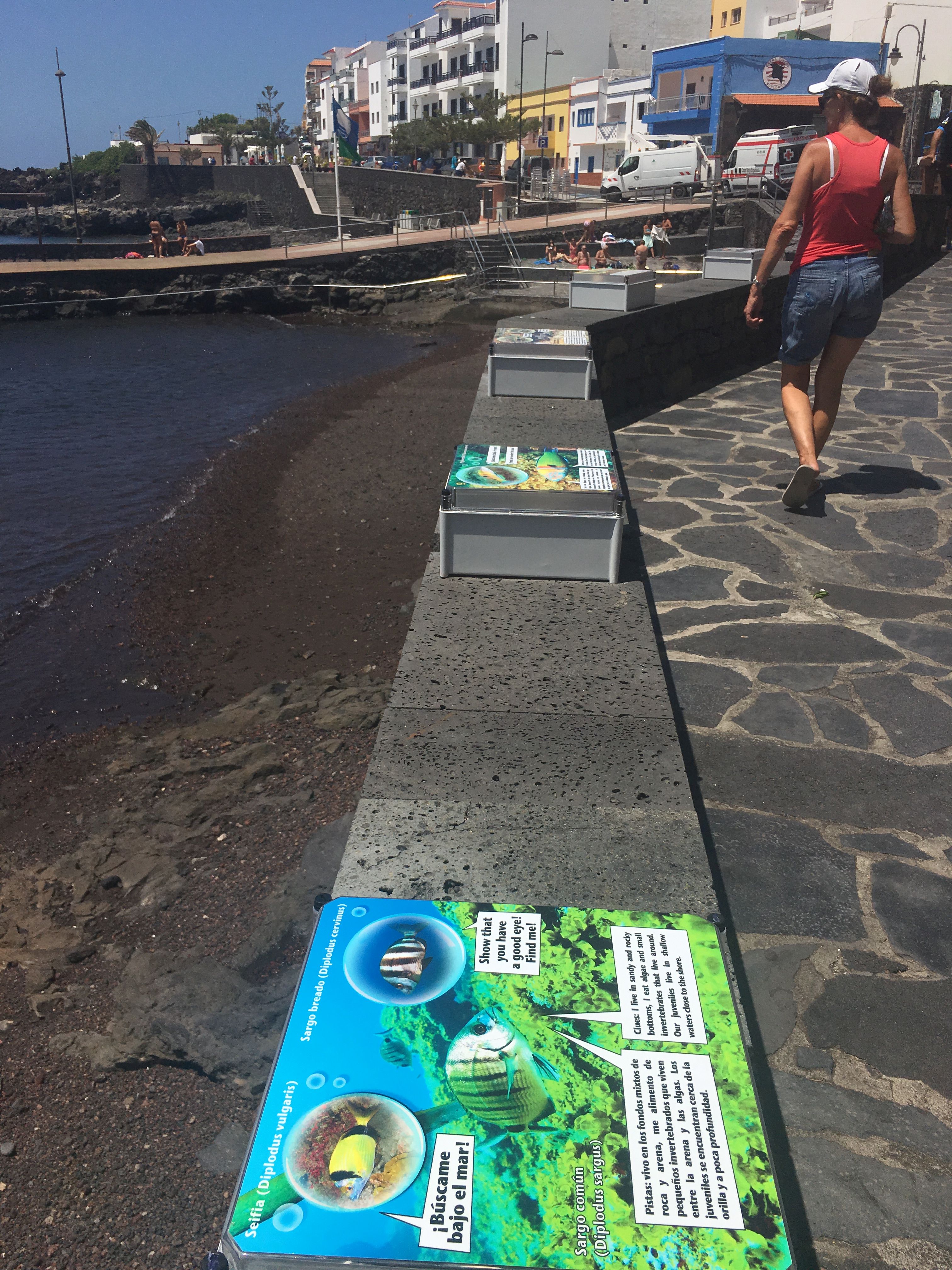 Diversos paneles informativos ubicados en Playa de La Restinga muestran la diversidad de sus fondos